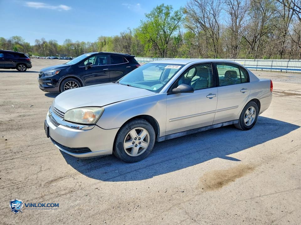 2005 CHEVROLET MALIBU LS – Lot 50475316 auction photo