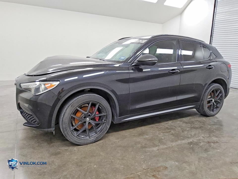 2019 ALFA ROMEO STELVIO – Lot 50479476 auction photo