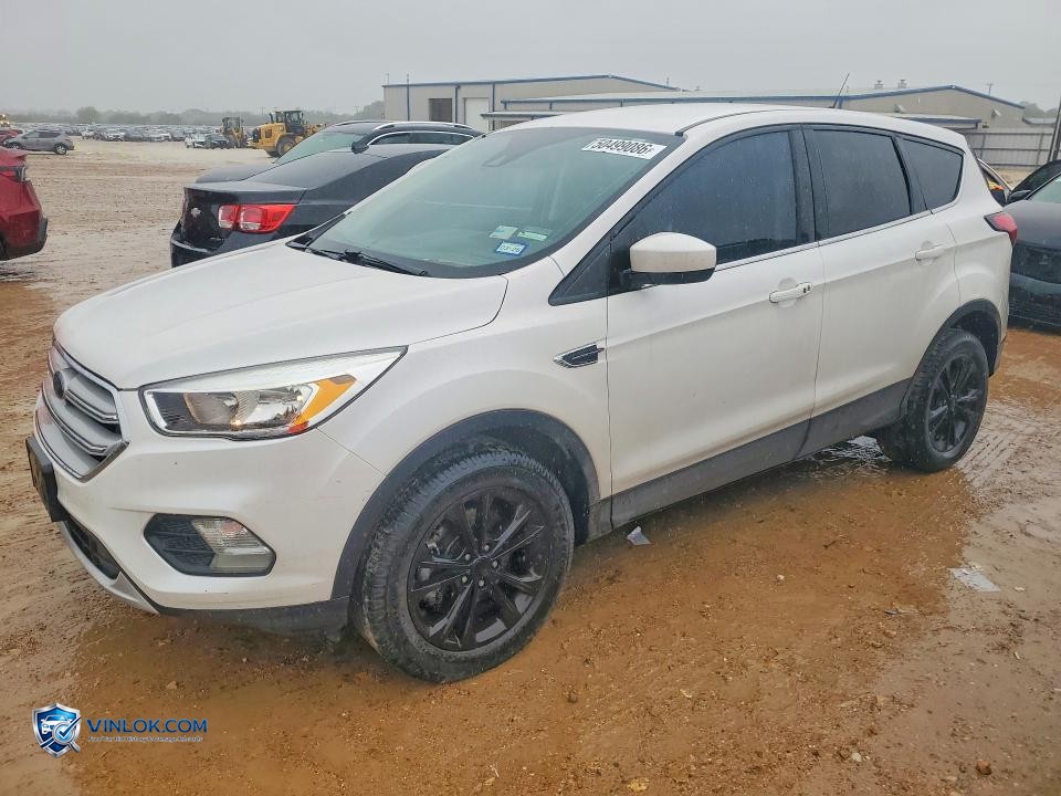 2019 FORD ESCAPE SE – Lot 50499086 auction photo