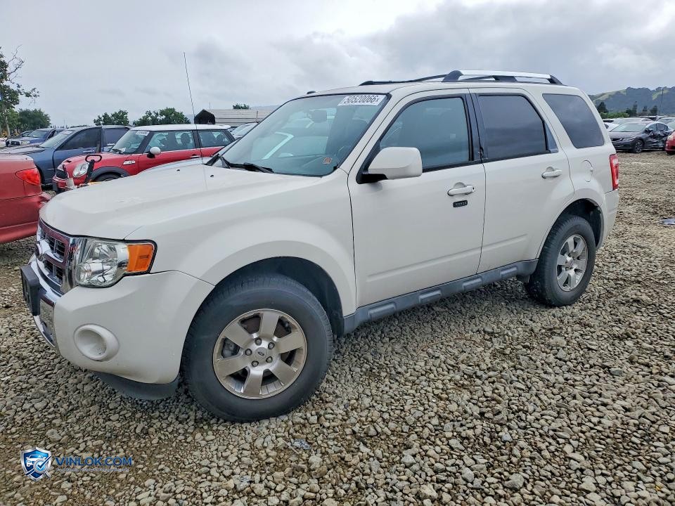 2012 FORD ESCAPE LIMITED – Lot 50520066 auction photo