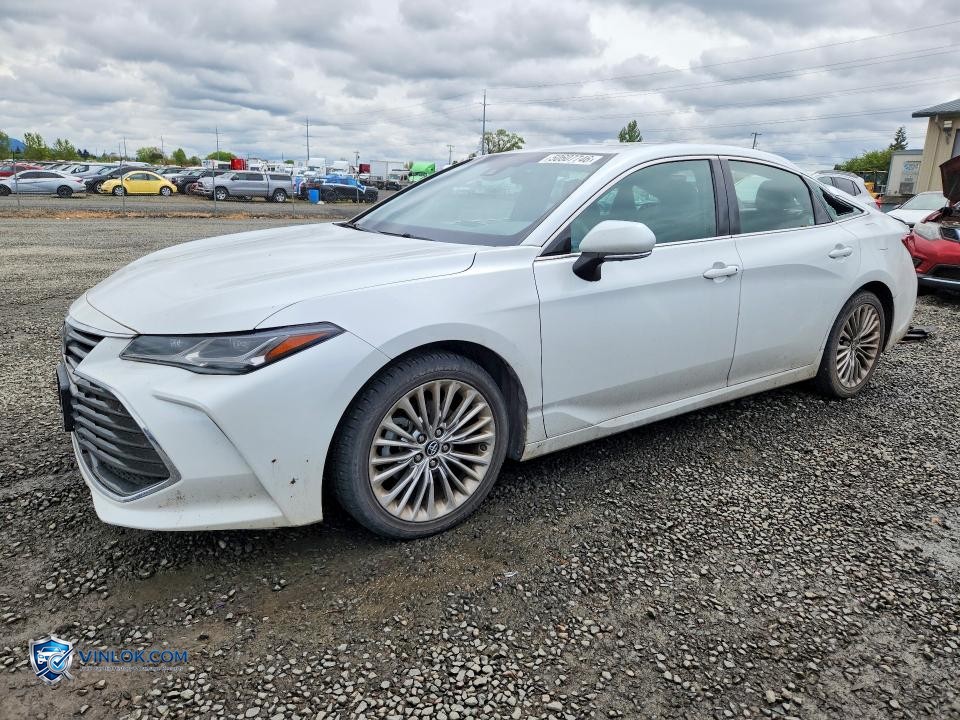2019 TOYOTA AVALON LIMITED – Lot 50607746 auction photo