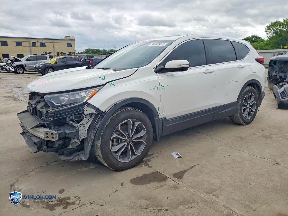 2022 HONDA CR-V EX – Lot 50639956 auction photo
