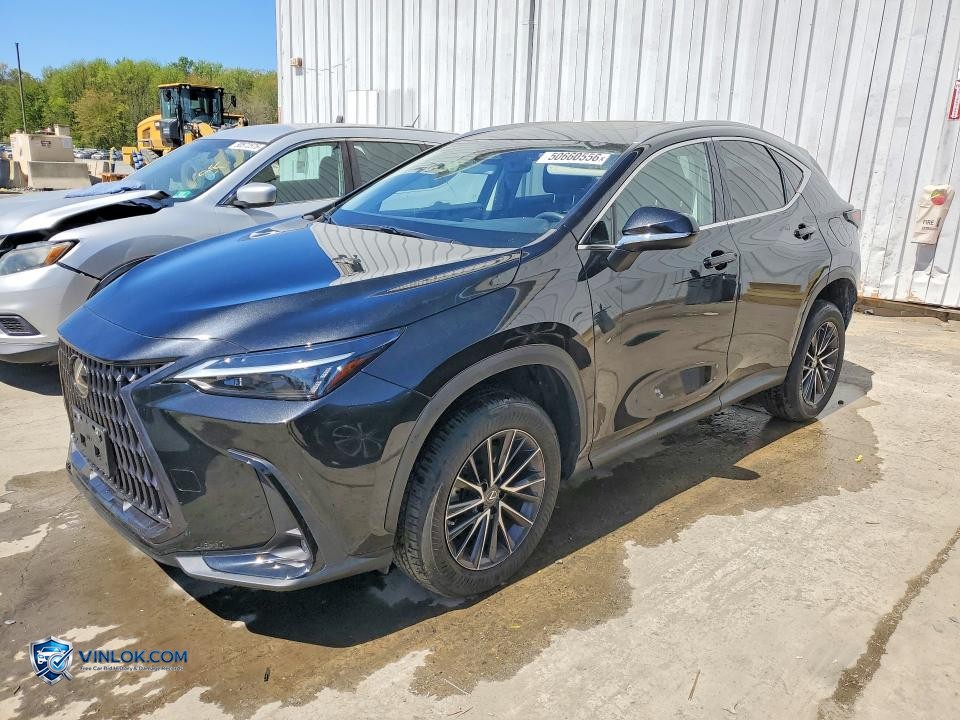 2022 LEXUS NX 350 – Lot 50660556 auction photo