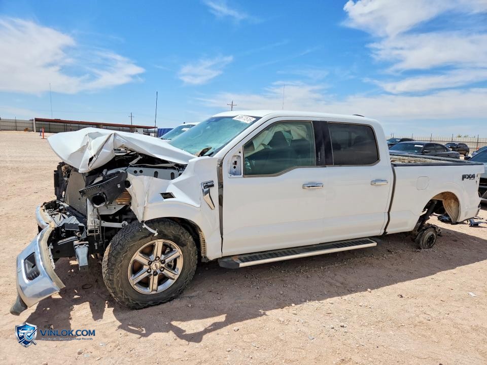 2024 FORD F150 XLT – Lot 50677516 auction photo
