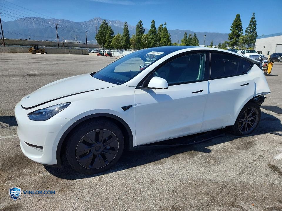 2025 TESLA MODEL Y – Lot 50677666 auction photo