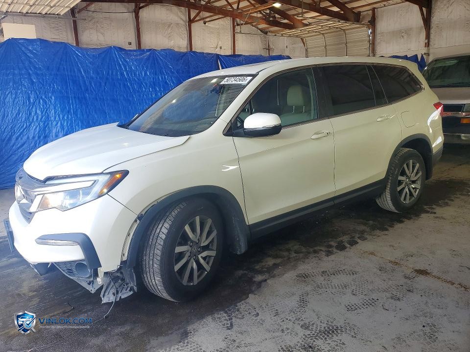 2019 HONDA PILOT EXL – Lot 50734506 auction photo