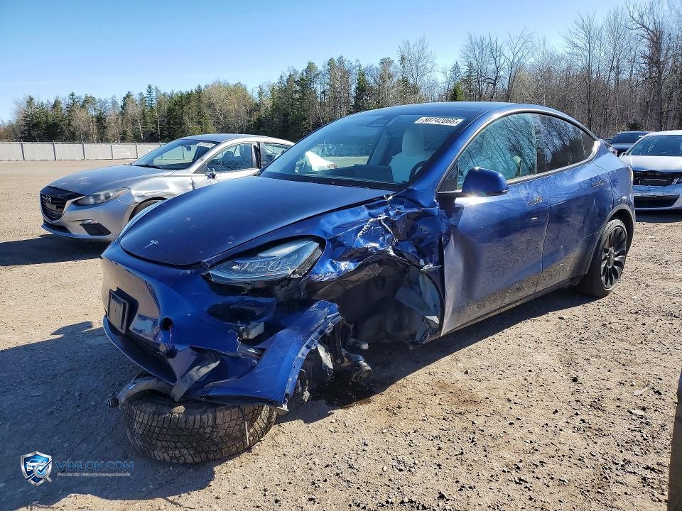 2022 TESLA MODEL Y – Lot 50742066 auction photo