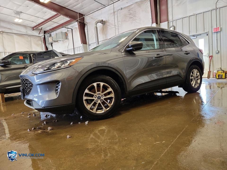 2022 FORD ESCAPE SE – Lot 50799896 auction photo