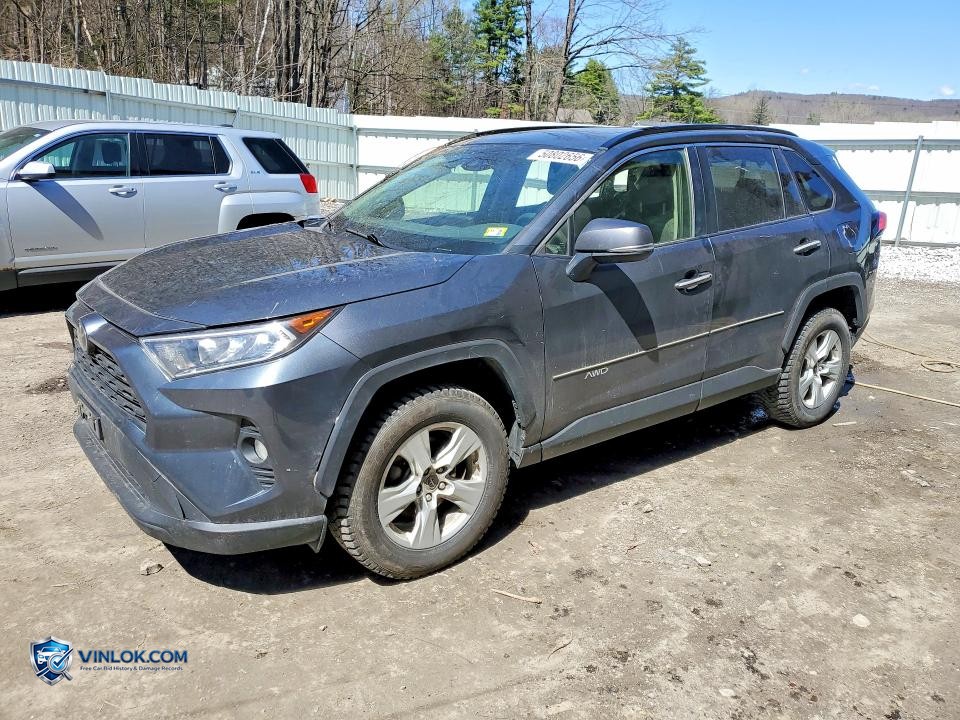 2019 TOYOTA RAV4 XLE – Lot 50802656 auction photo