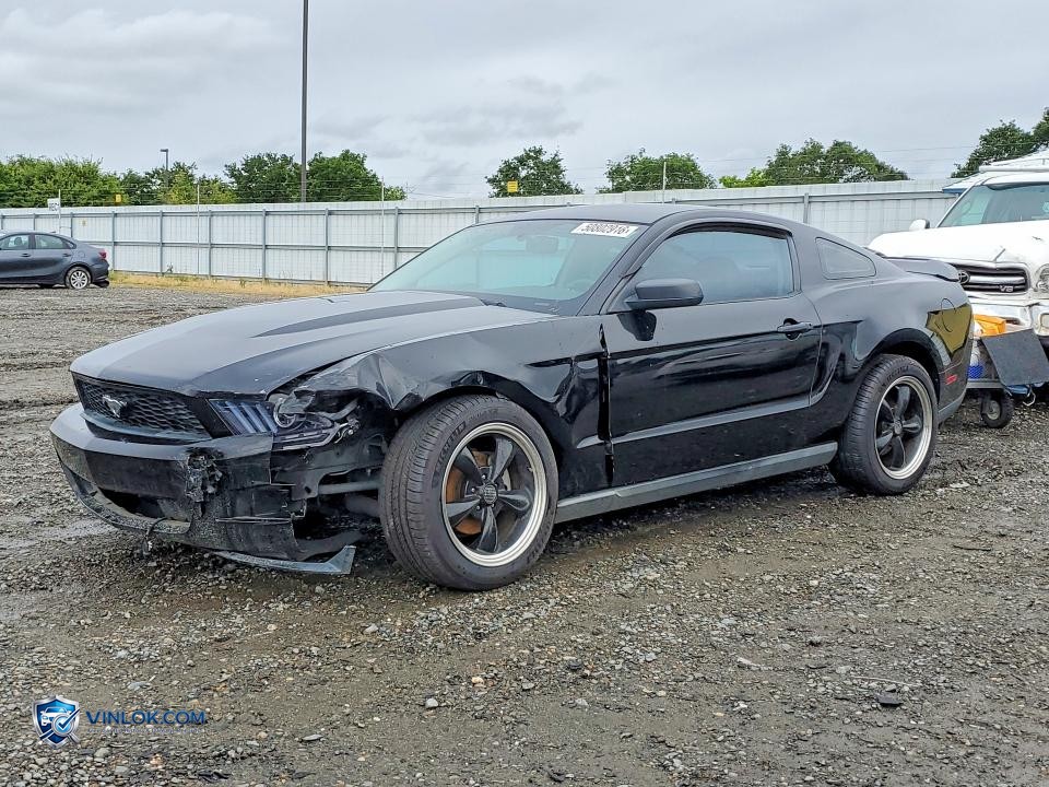 2010 FORD MUSTANG – Lot 50802916 auction photo