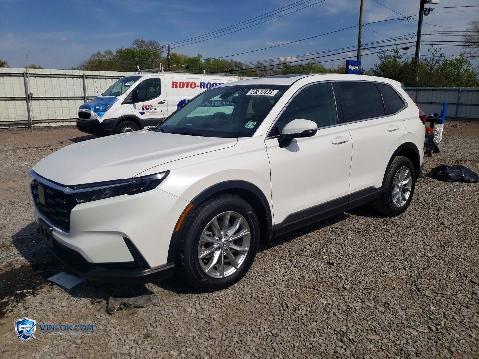 2025 HONDA CR-V EXL – Lot 50819136 auction photo