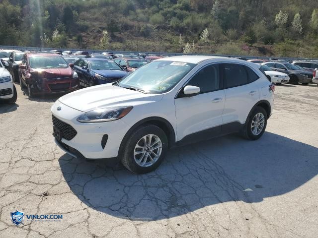2020 FORD ESCAPE SE – Lot 50912495 auction photo