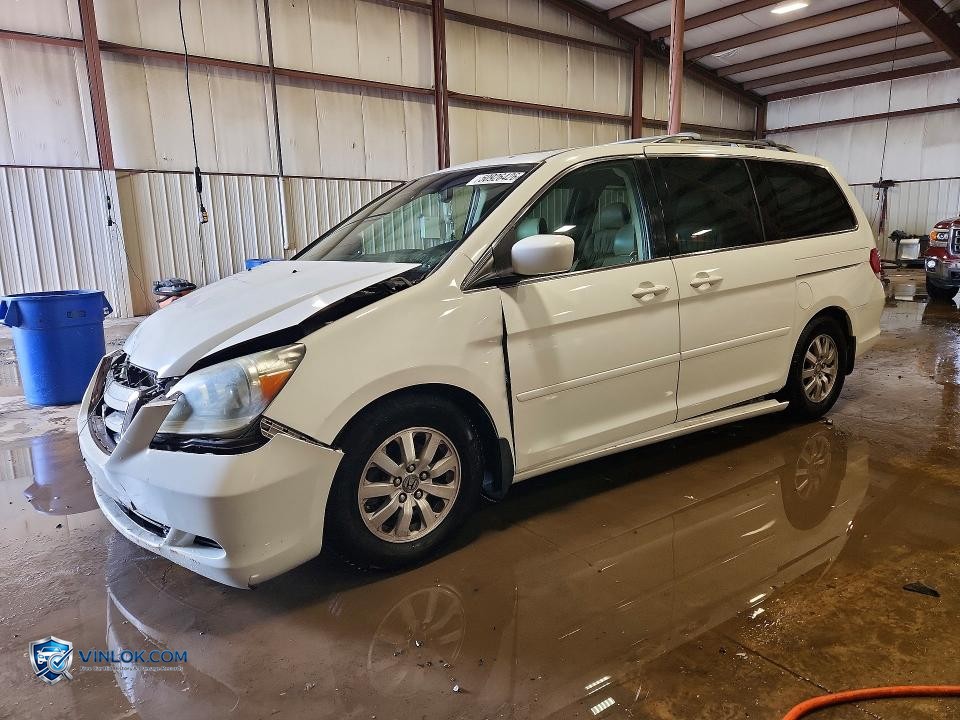 2008 HONDA ODYSSEY EXL – Lot 50926426 auction photo