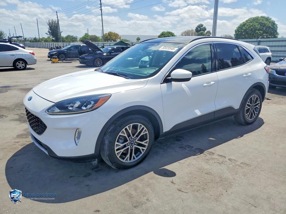 2020 FORD ESCAPE SEL – Lot 50928546 auction photo