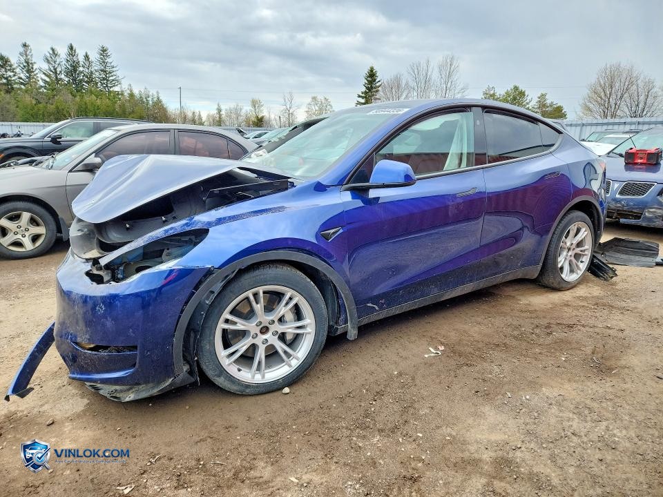 2024 TESLA MODEL Y – Lot 50944336 auction photo