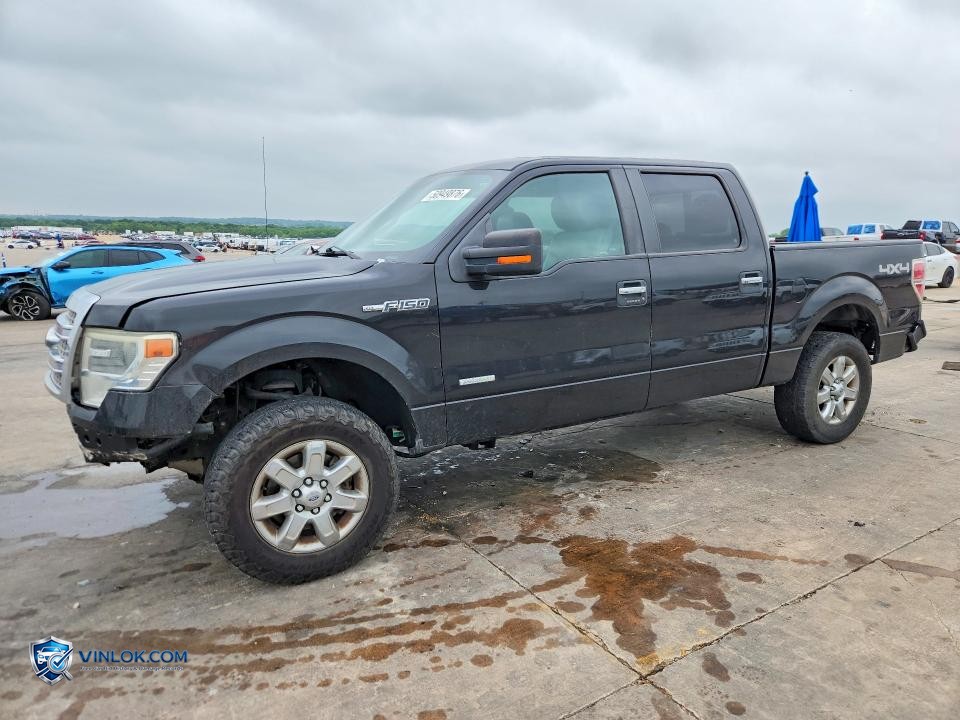 2014 FORD F150 SUPERCREW – Lot 50949876 auction photo
