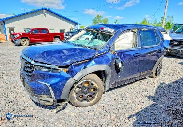 2025 HONDA PILOT EXL – Lot 50986316 auction photo