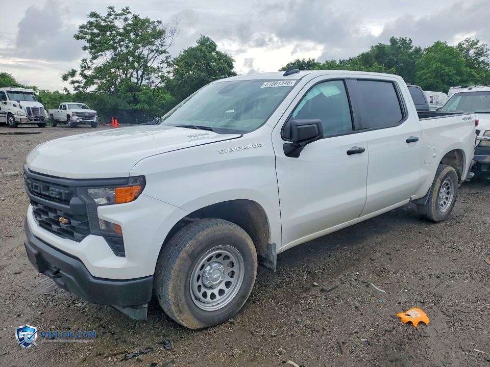 2025 CHEVROLET SILVERADO K1500 – Lot 51001246 auction photo