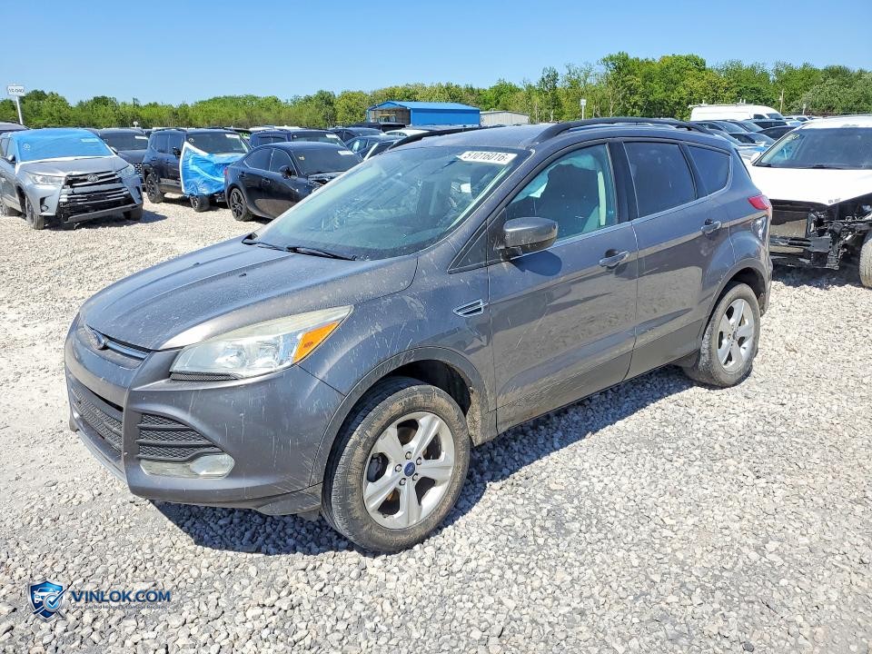 2014 FORD ESCAPE SE – Lot 51016016 auction photo