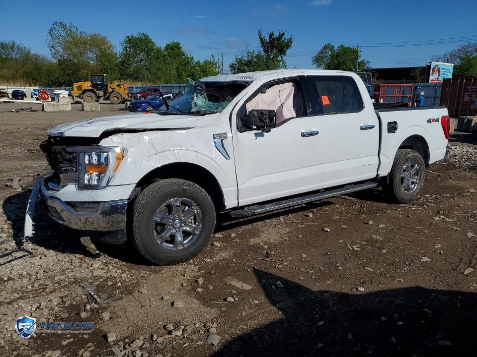 2023 FORD F150 SUPERCREW – Lot 51038846 auction photo