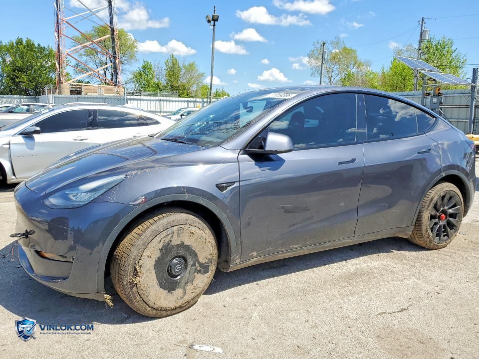 2021 TESLA MODEL Y – Lot 51059566 auction photo