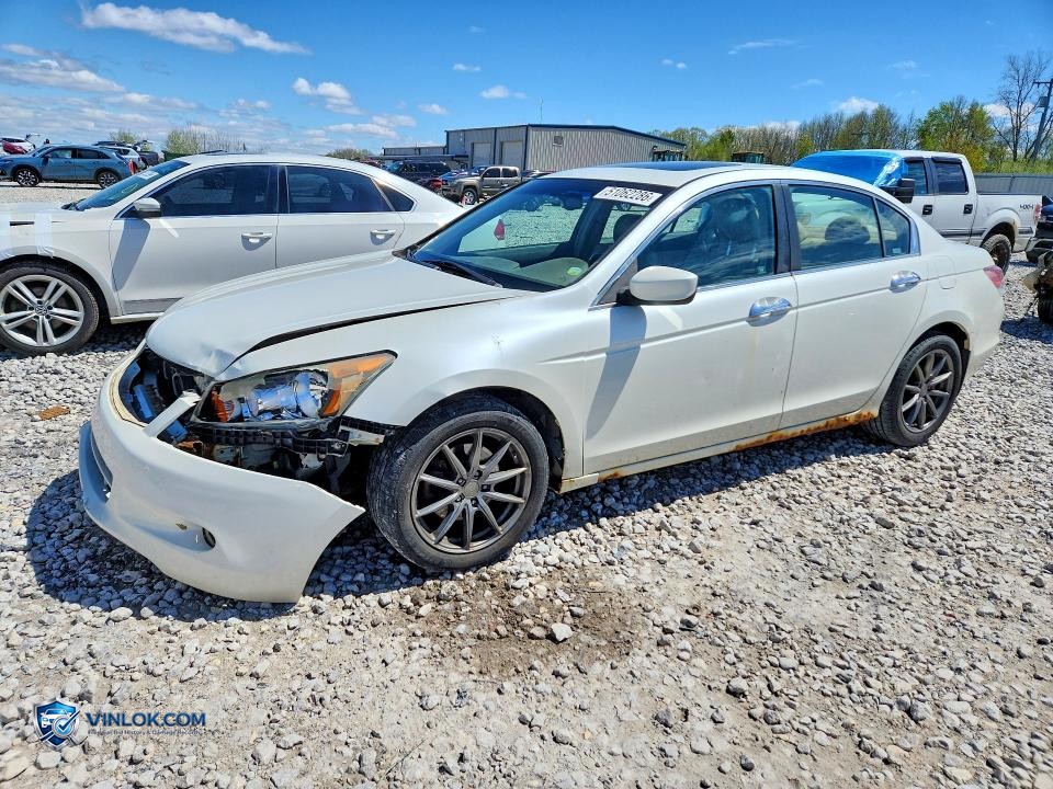 2008 HONDA ACCORD EXL – Lot 51062286 auction photo