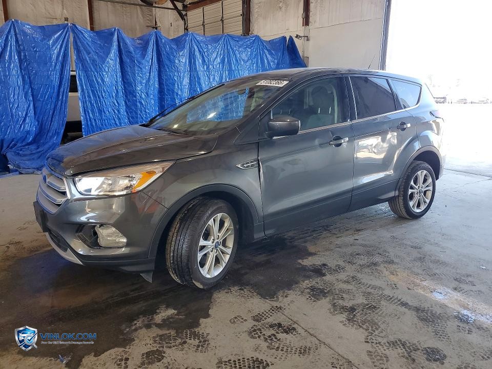 2019 FORD ESCAPE SE – Lot 51082366 auction photo