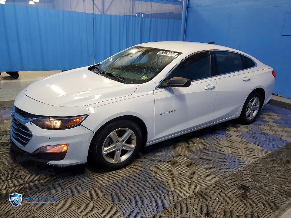 2020 CHEVROLET MALIBU LS – Lot 51131096 auction photo