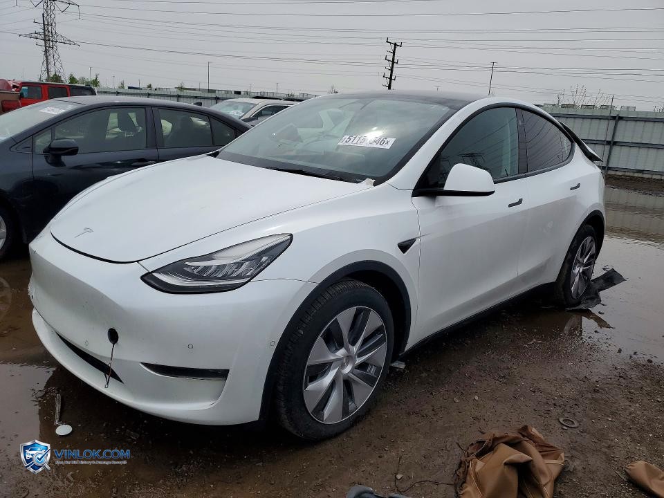 2022 TESLA MODEL Y – Lot 51151546 auction photo