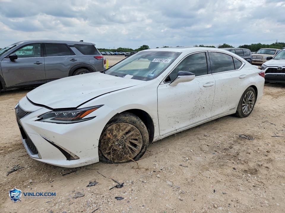 2019 LEXUS ES 300H – Lot 51158216 auction photo
