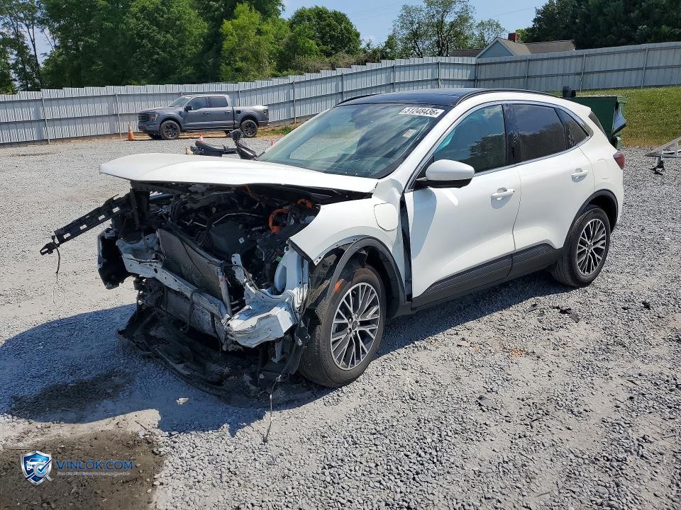 2024 FORD ESCAPE – Lot 51248436 auction photo