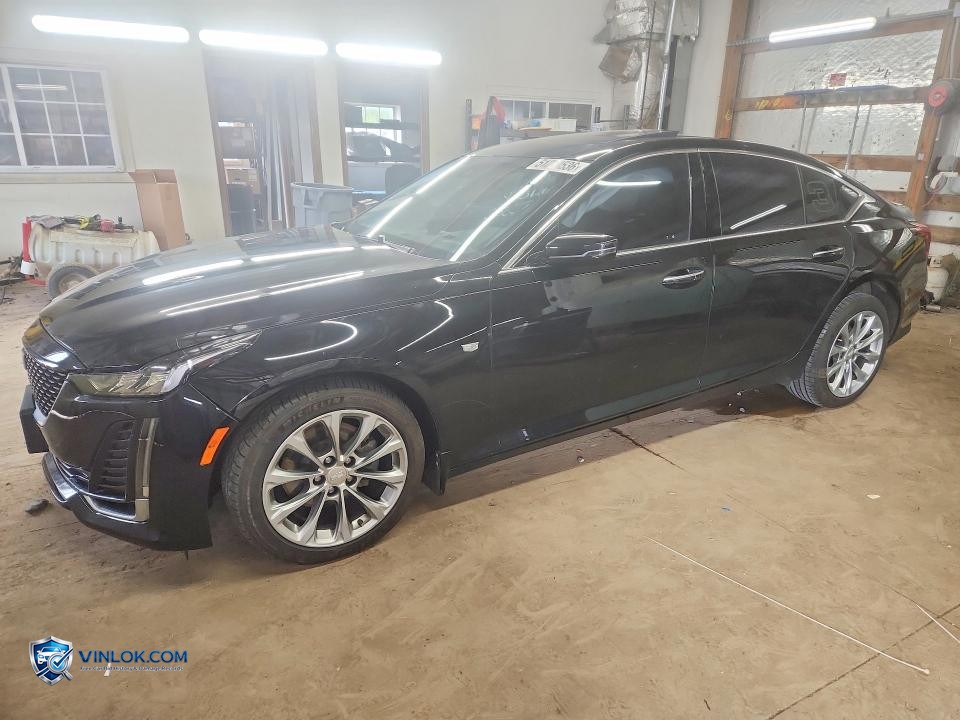 2020 CADILLAC CT5 PREMIUM LUXURY – Lot 51288536 auction photo