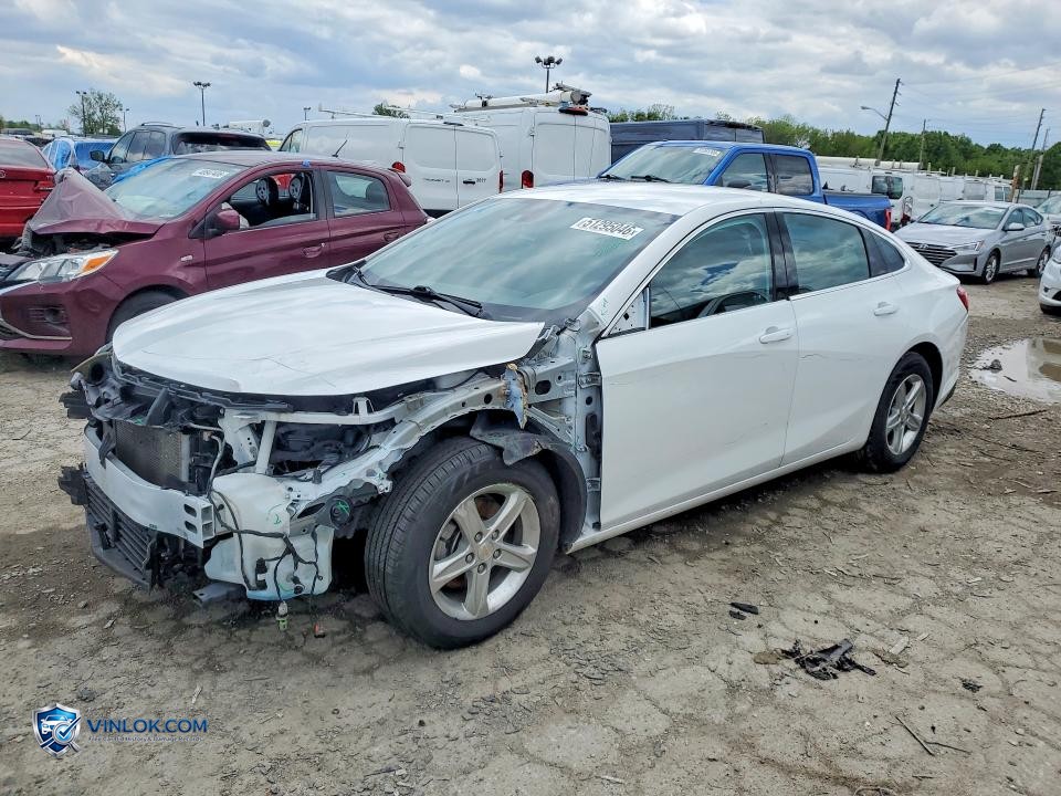 2023 CHEVROLET MALIBU LS – Lot 51295046 auction photo