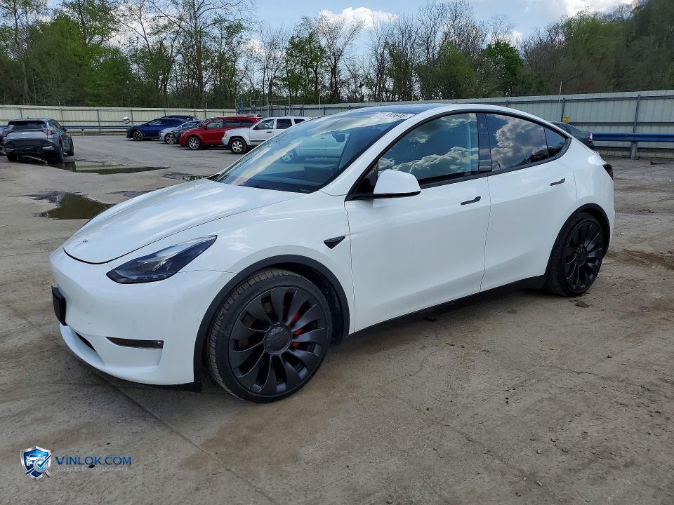 2022 TESLA MODEL Y – Lot 51312646 auction photo