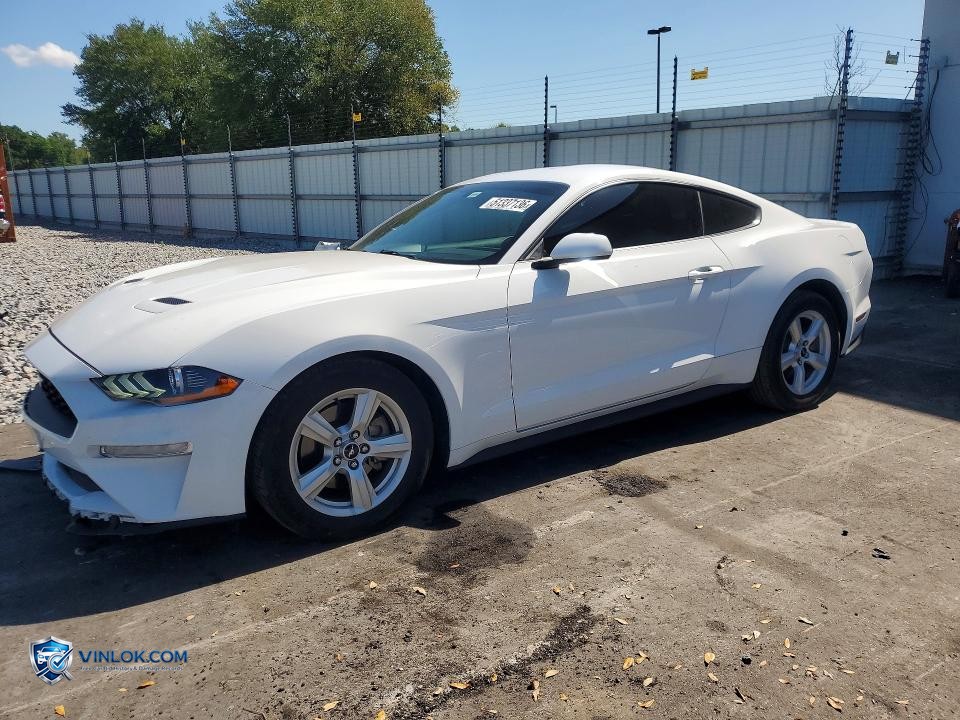 2019 FORD MUSTANG – Lot 51337136 auction photo