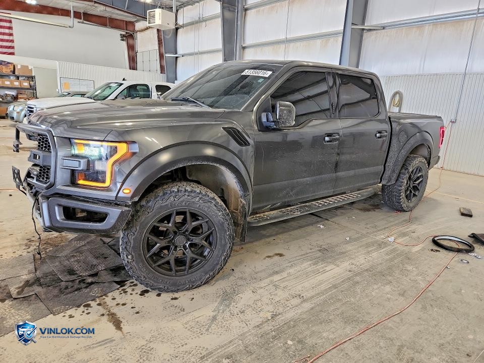 2019 FORD F150 RAPTOR – Lot 51356016 auction photo