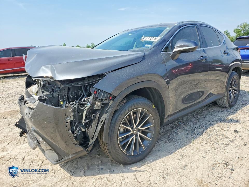 2025 LEXUS NX 350 LUXURY – Lot 51371216 auction photo