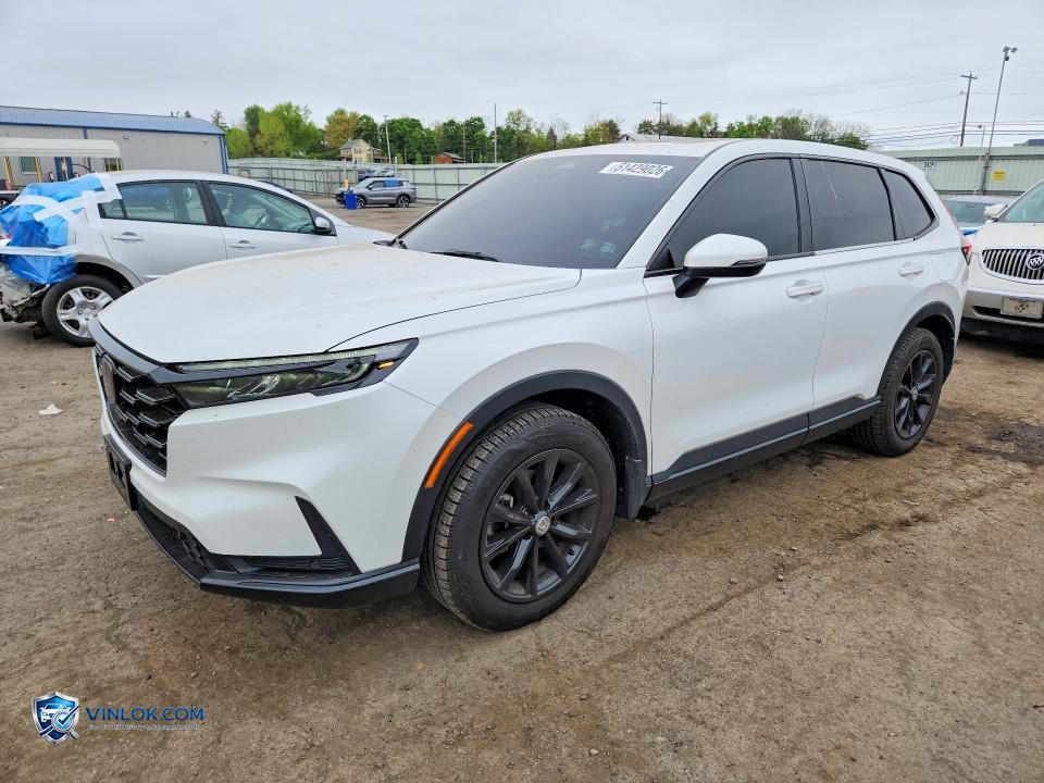 2023 HONDA CR-V EXL – Lot 51429026 auction photo