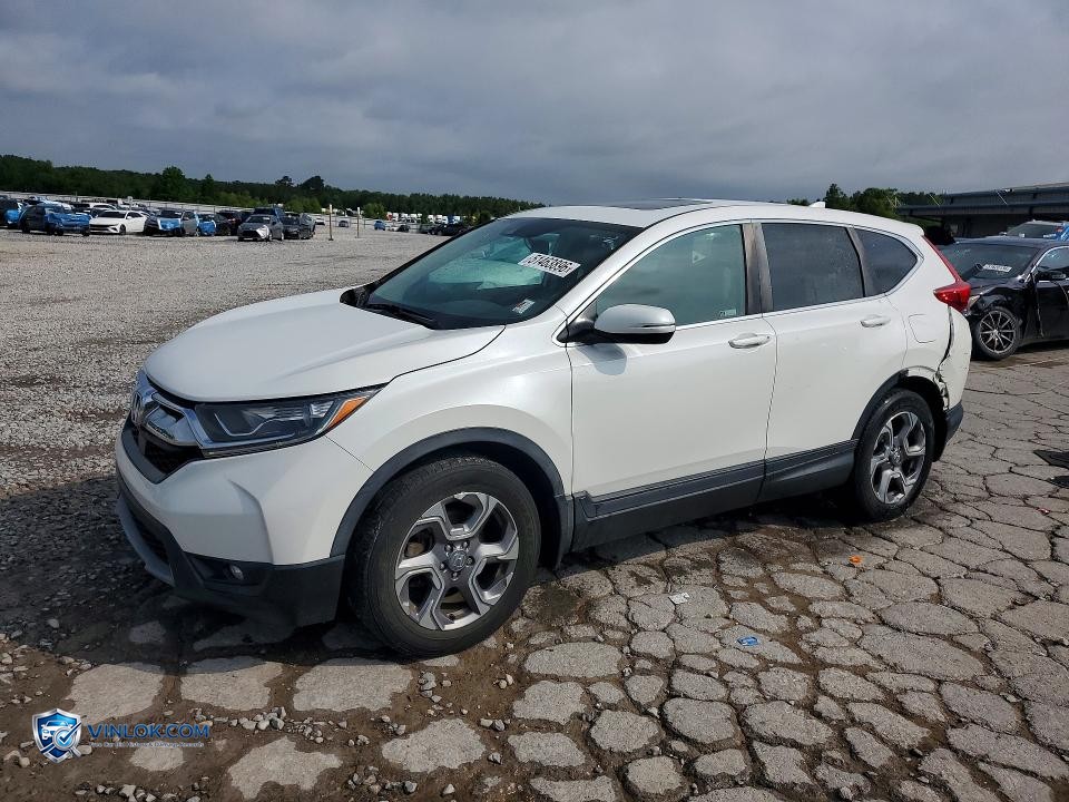 2019 HONDA CR-V EXL – Lot 51463896 auction photo