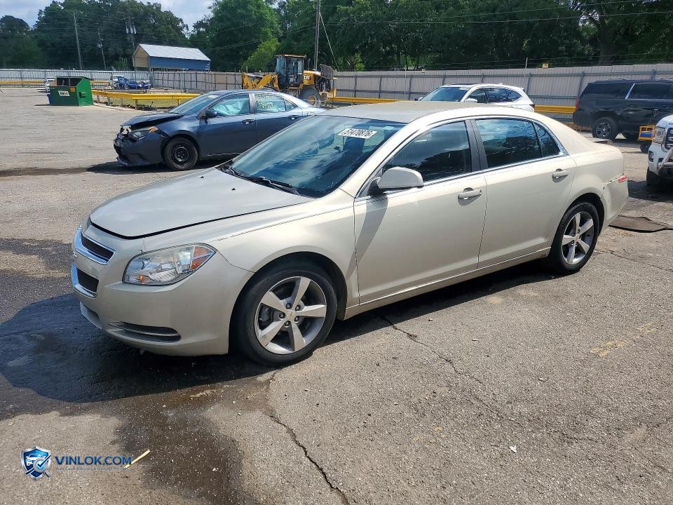 2011 CHEVROLET MALIBU 1LT – Lot 51470876 auction photo