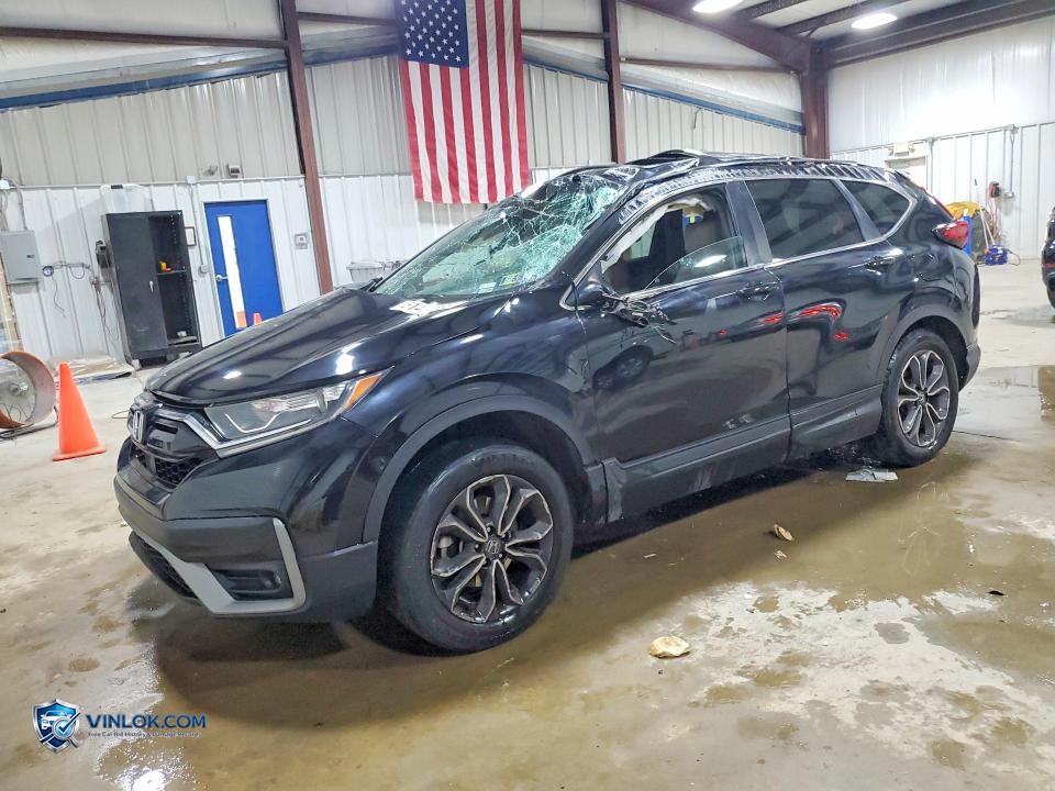2022 HONDA CR-V EXL – Lot 51491686 auction photo