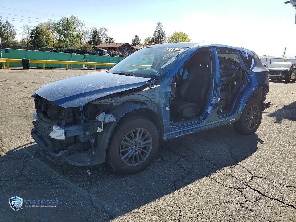 2019 MADZ SPEED 6 – Lot 51515006 auction photo
