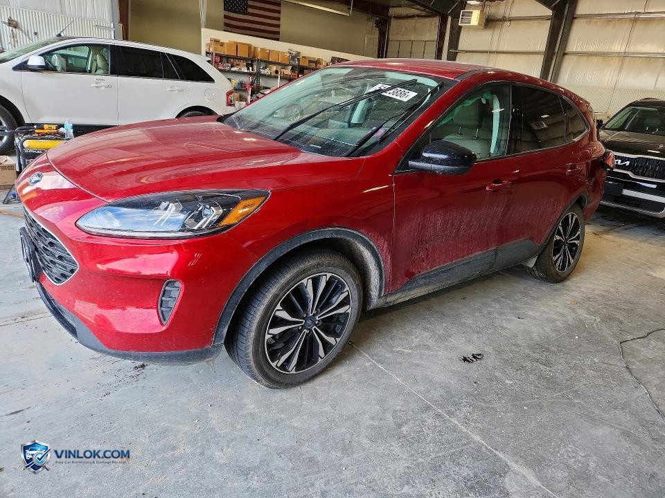 2022 FORD ESCAPE SE – Lot 51523886 auction photo