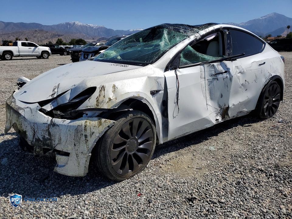 2024 TESLA MODEL Y – Lot 51581656 auction photo