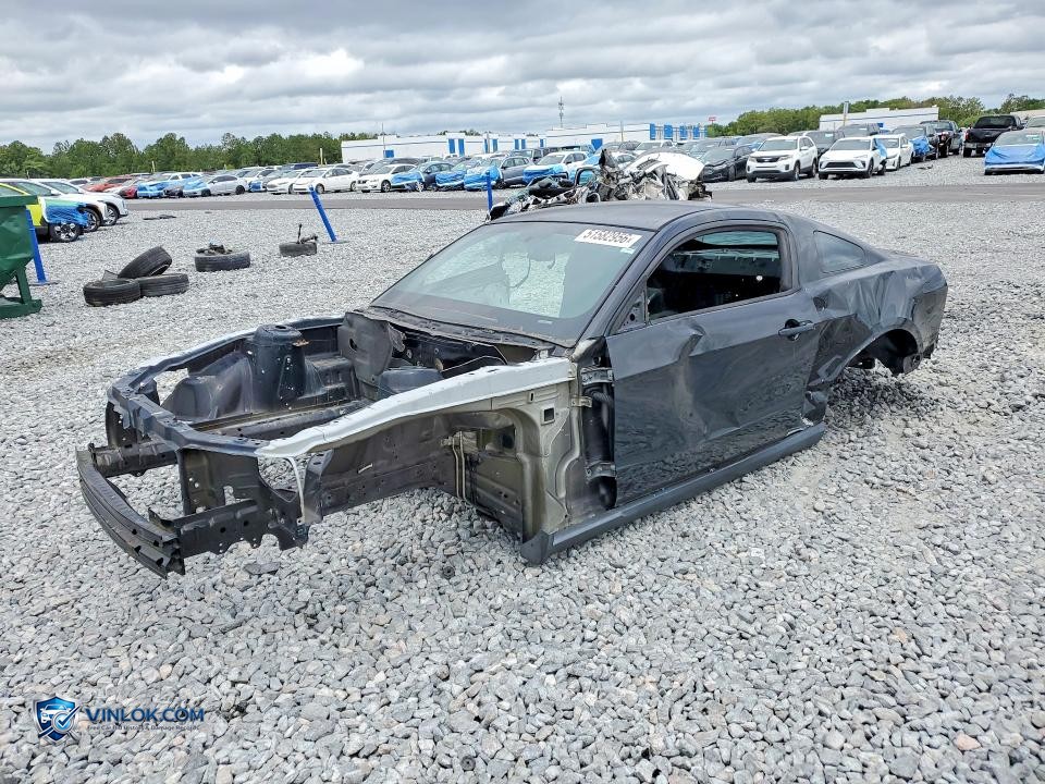 2011 FORD MUSTANG SHELBY GT500 – Lot 51582956 auction photo