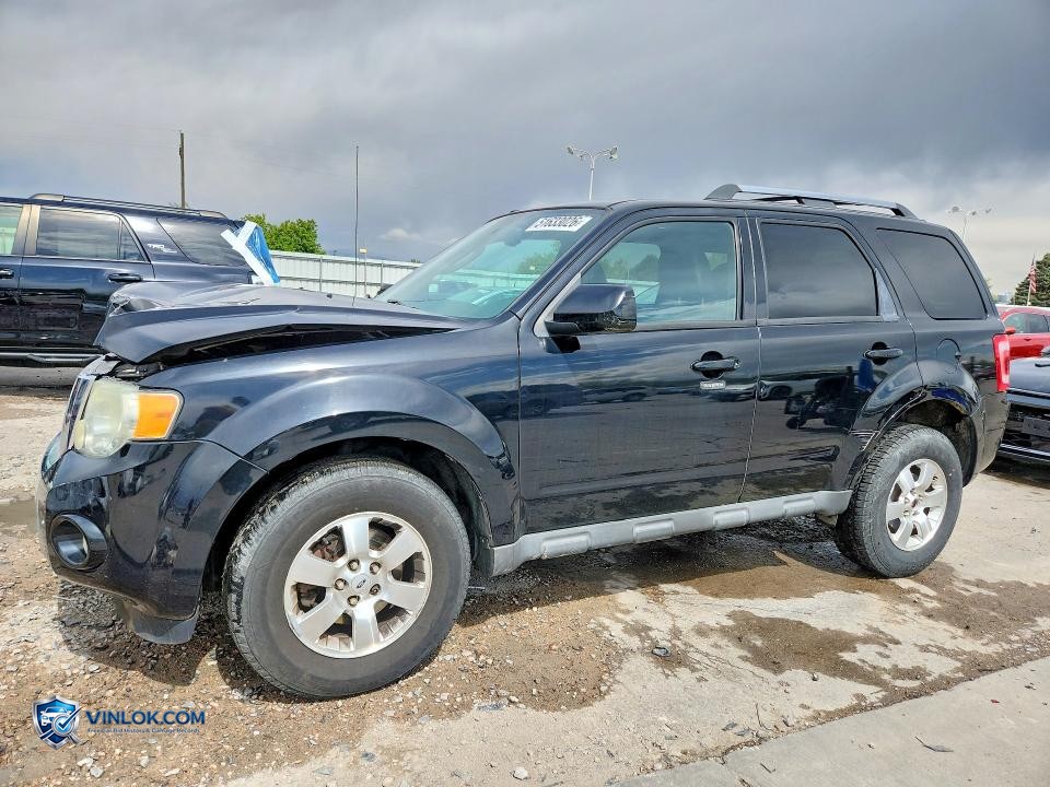 2010 FORD ESCAPE LIMITED – Lot 51633026 auction photo
