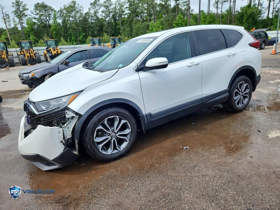 2021 HONDA CR-V EX – Lot 51636006 auction photo