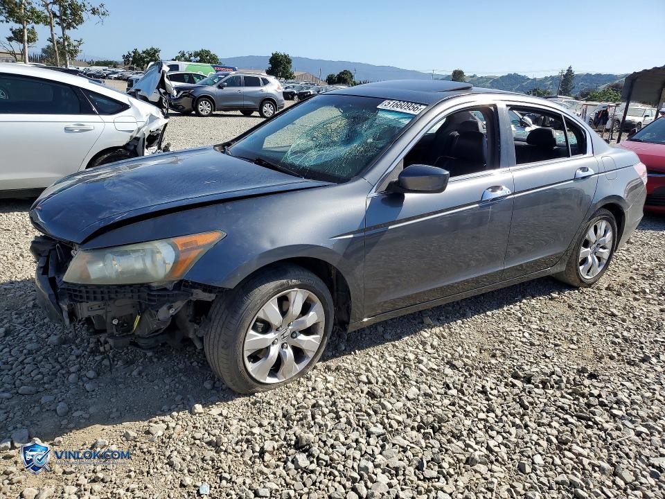2008 HONDA ACCORD EXL – Lot 51660956 auction photo