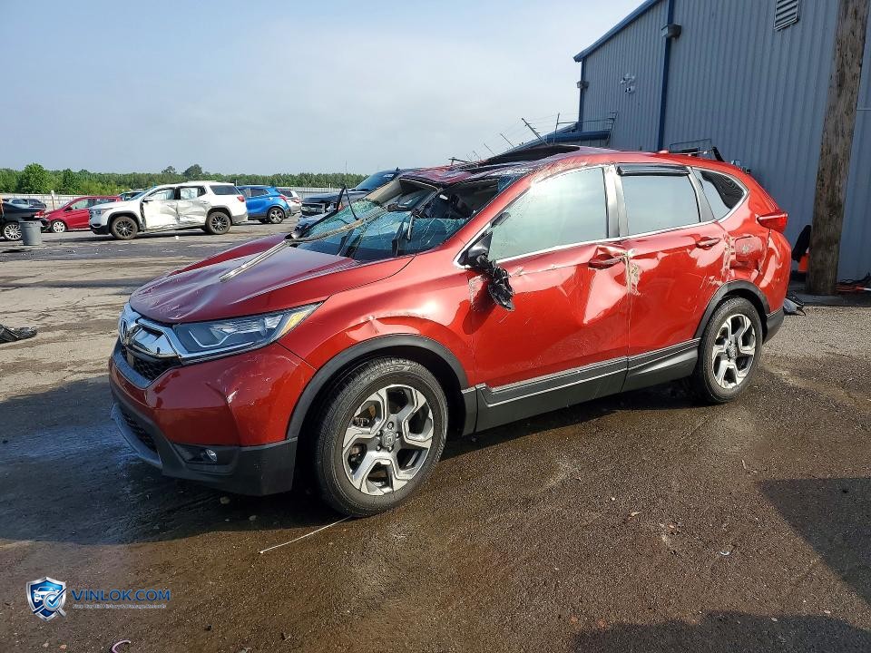 2019 HONDA CR-V EX – Lot 51671846 auction photo