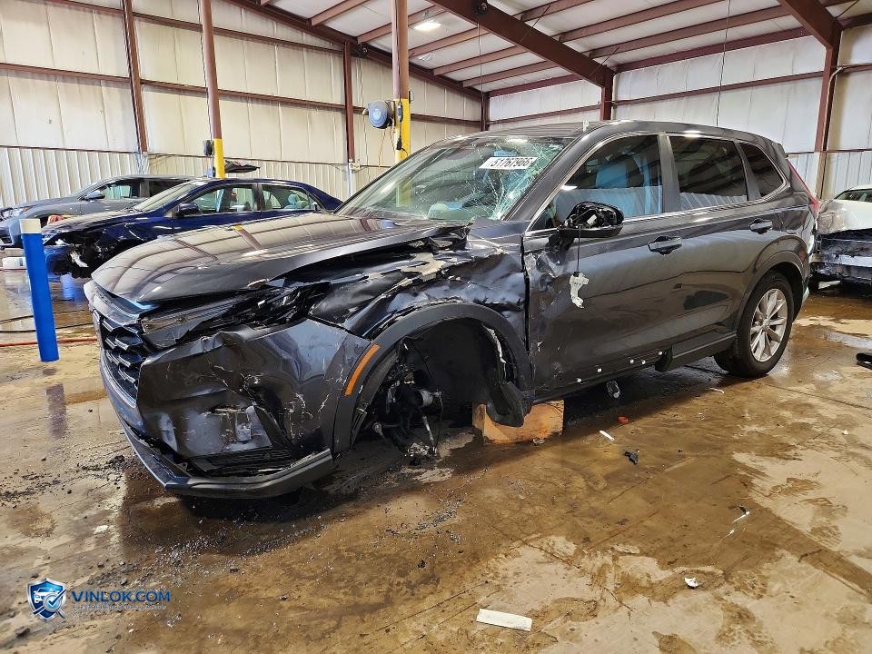 2025 HONDA CR-V EXL – Lot 51767966 auction photo